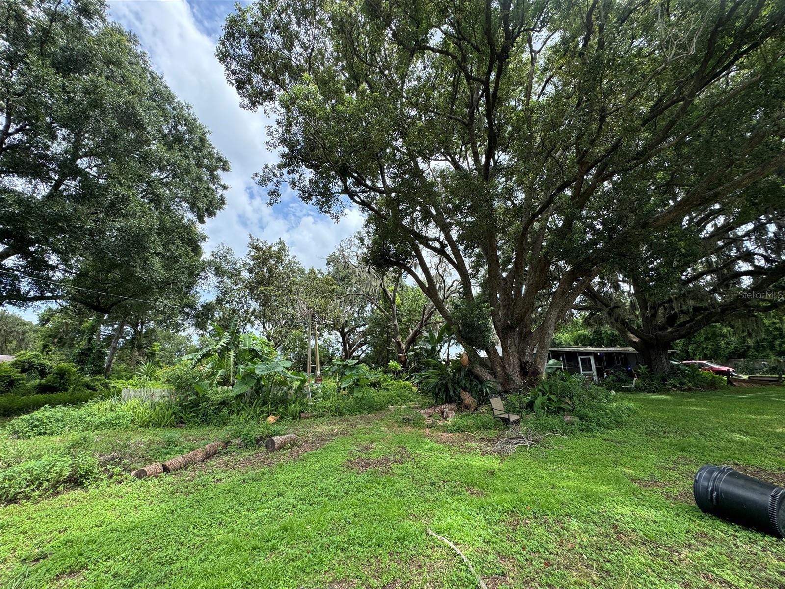 13920 HAYNES RD, DOVER, FL, 33527