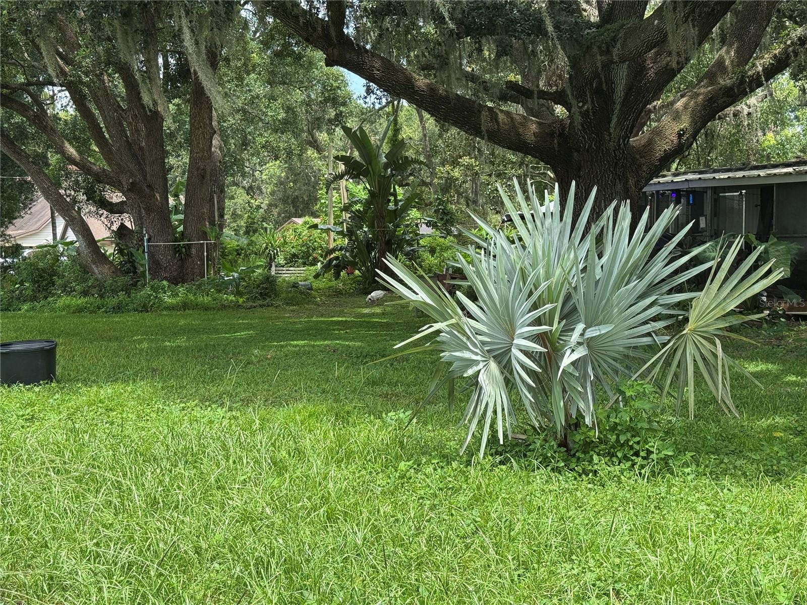 13920 HAYNES RD, DOVER, FL, 33527