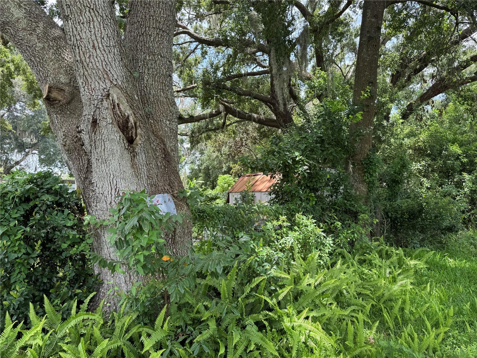 13920 HAYNES RD, DOVER, FL, 33527