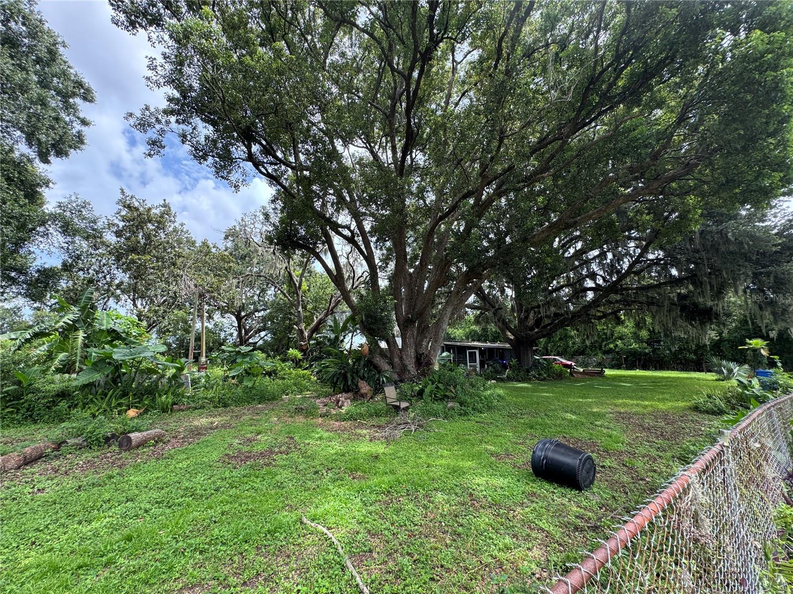 13920 HAYNES RD, DOVER, FL, 33527