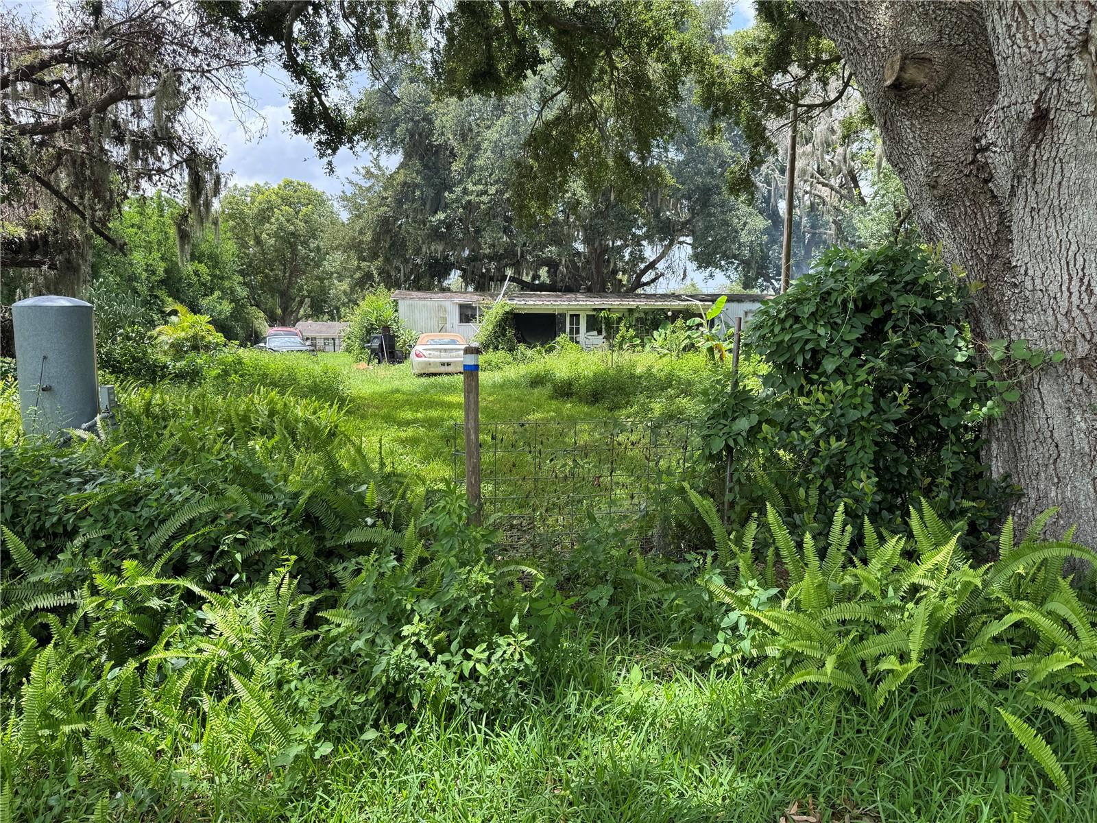 13920 HAYNES RD, DOVER, FL, 33527