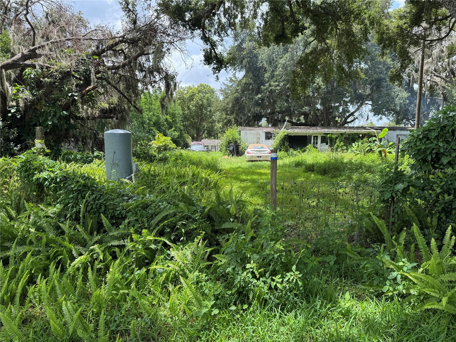 13920 HAYNES RD, DOVER, FL, 33527