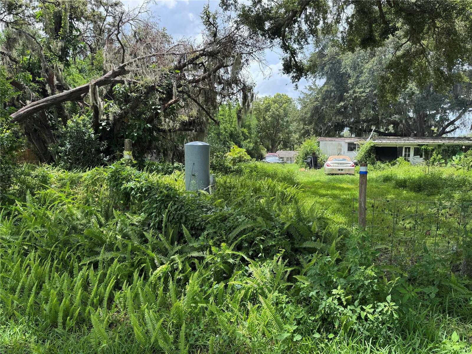 13920 HAYNES RD, DOVER, FL, 33527