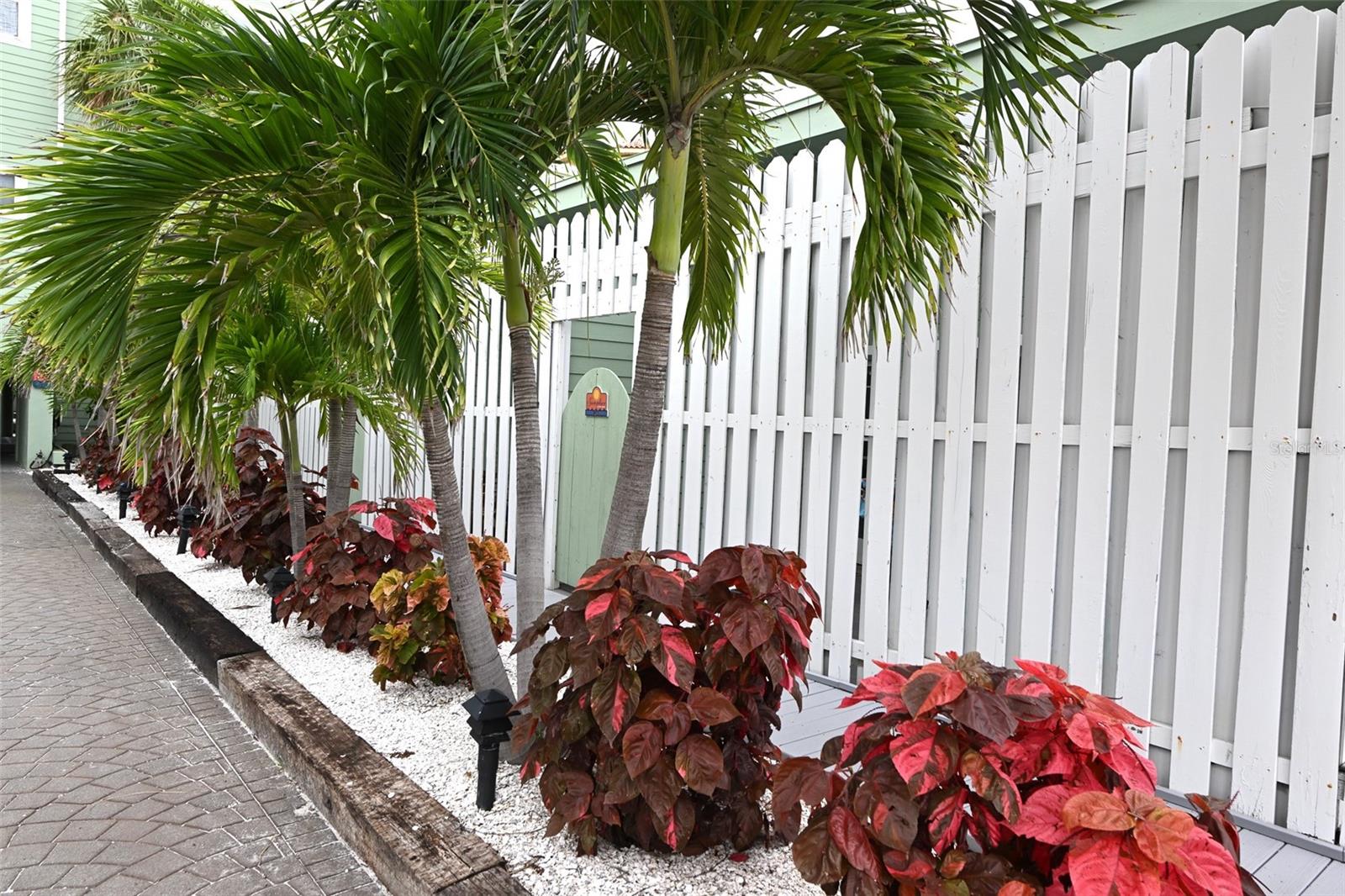 19530 GULF BLVD #1A, INDIAN SHORES, FL, 33785