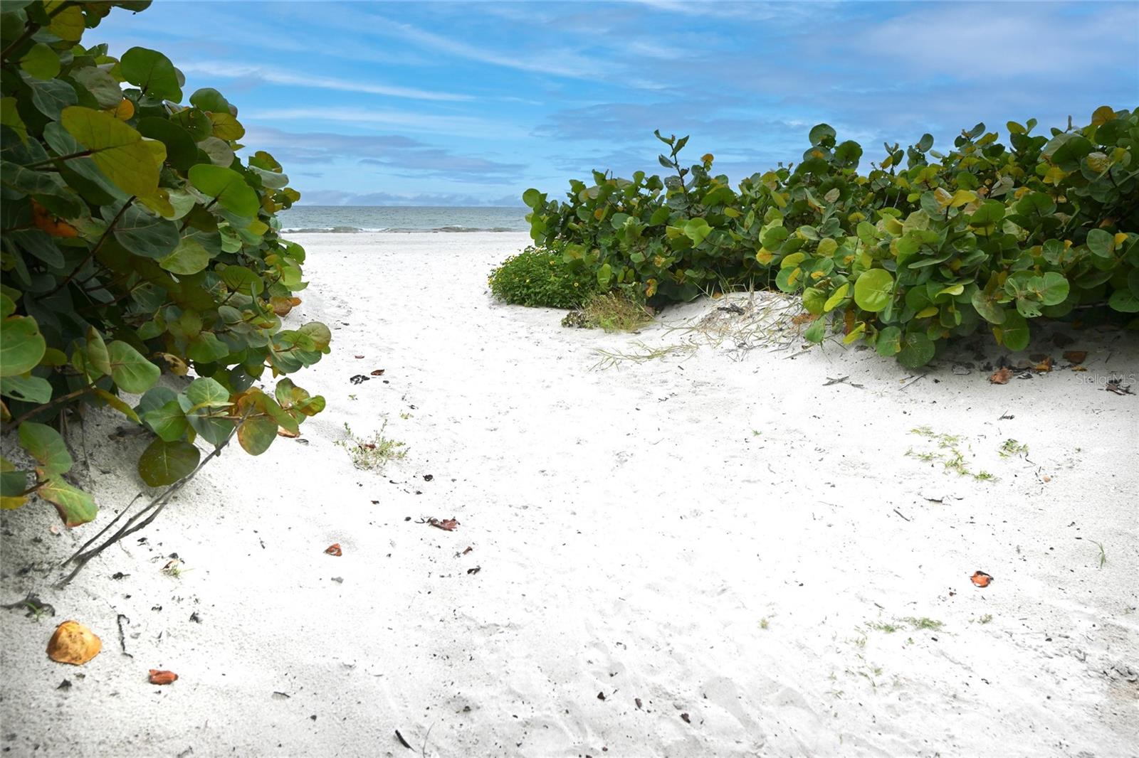 19530 GULF BLVD #1A, INDIAN SHORES, FL, 33785