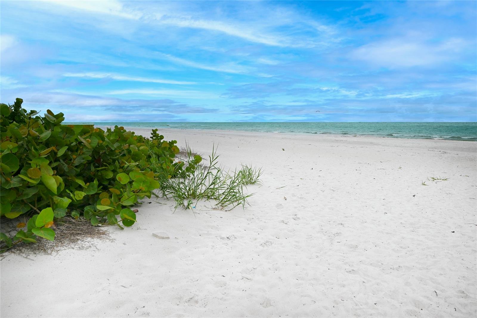 19530 GULF BLVD #1A, INDIAN SHORES, FL, 33785