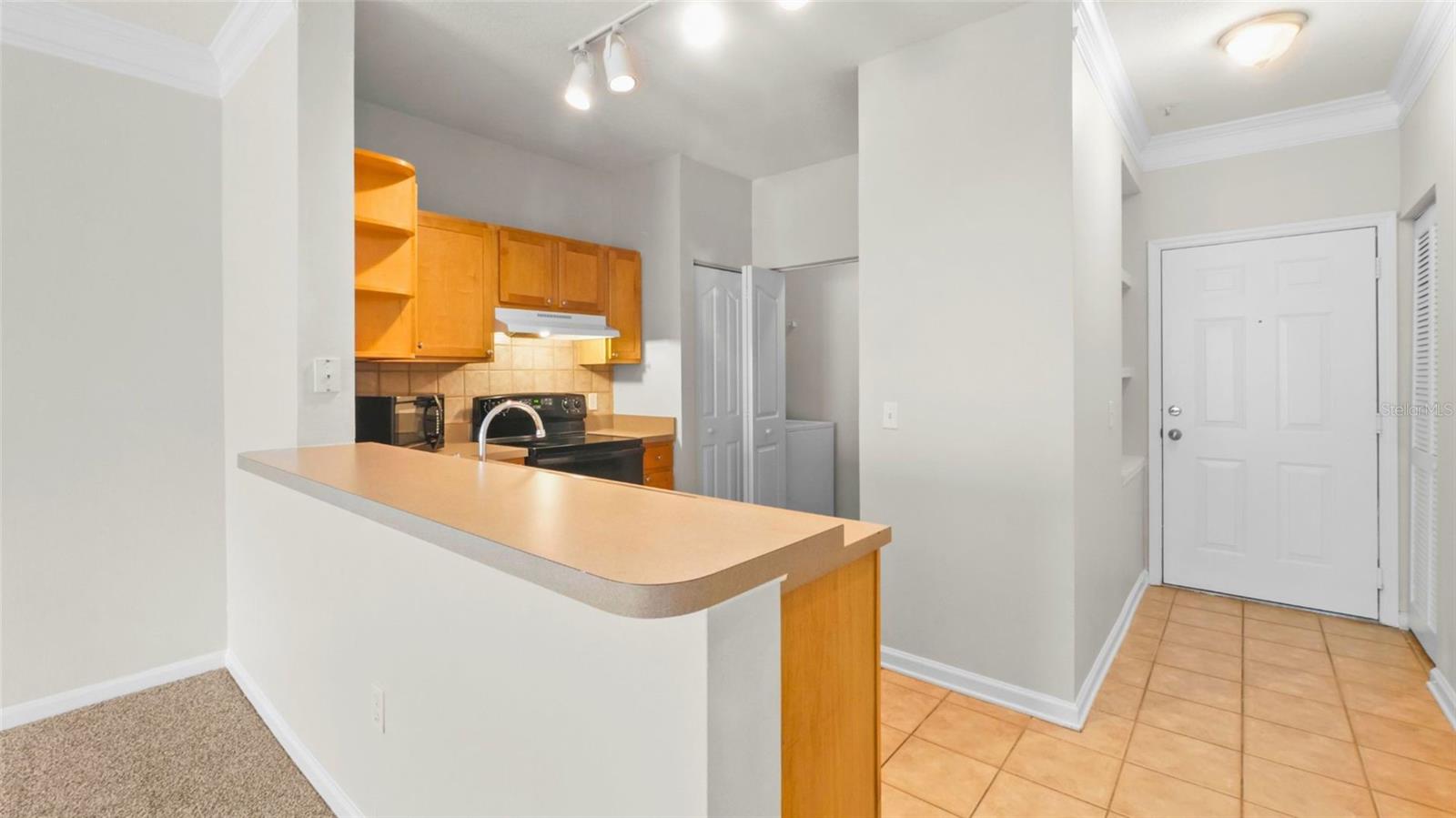 4207 S DALE MABRY HWY #6306, TAMPA, FL, 33611