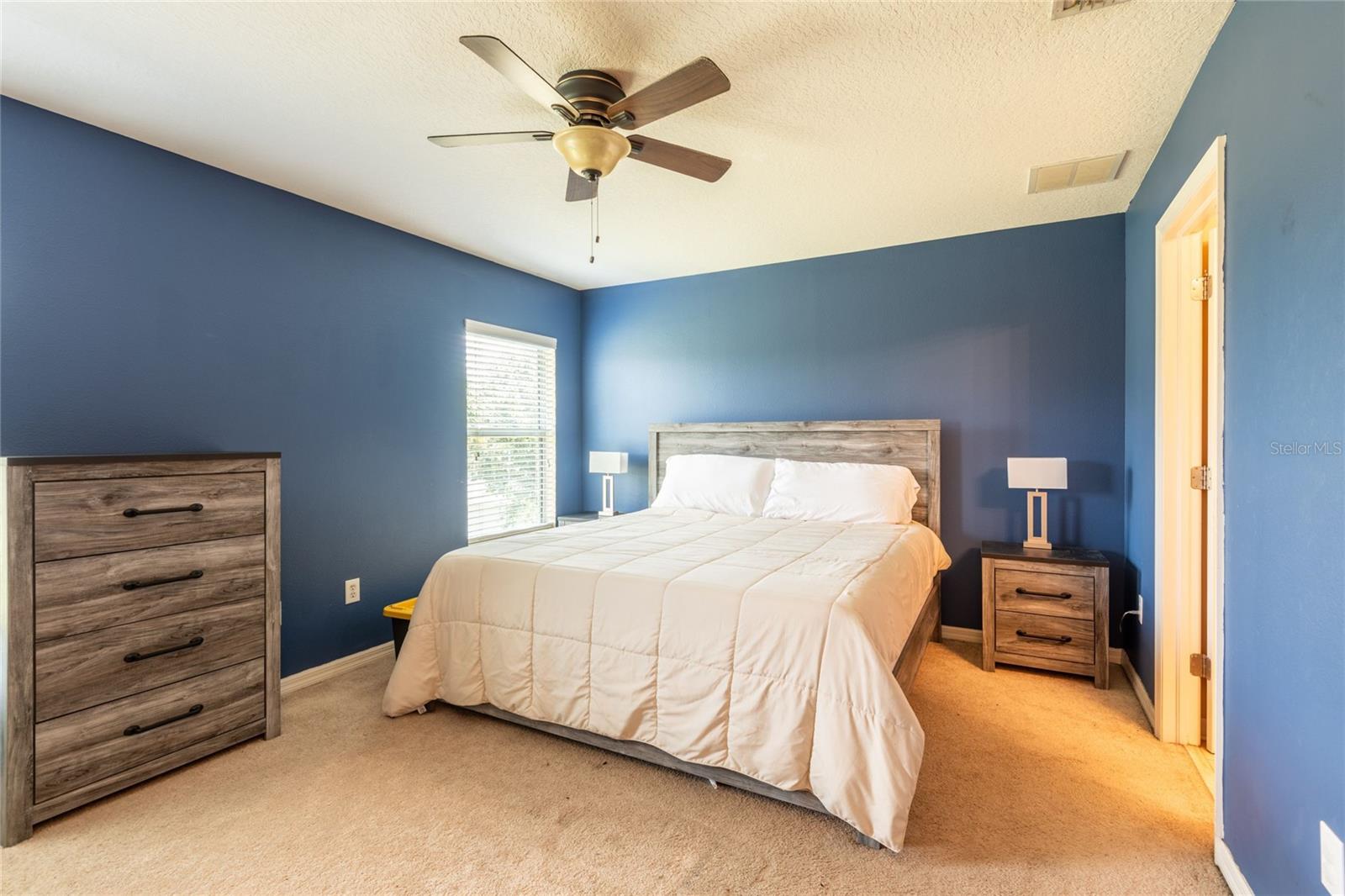 8814 RED BEECHWOOD CT, RIVERVIEW, FL, 33578