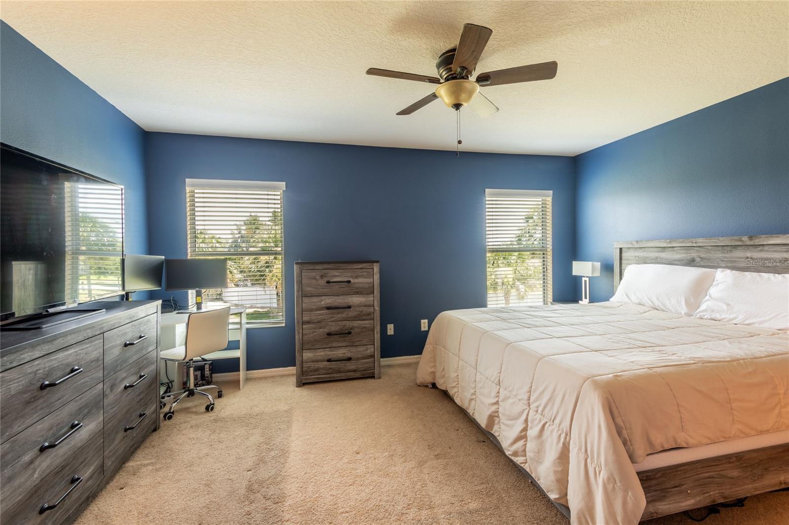 8814 RED BEECHWOOD CT, RIVERVIEW, FL, 33578