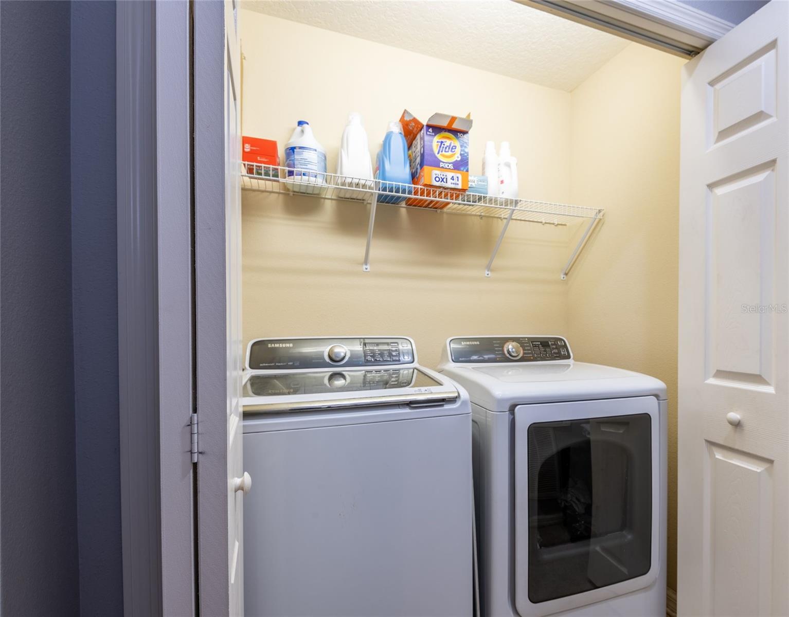 8814 RED BEECHWOOD CT, RIVERVIEW, FL, 33578