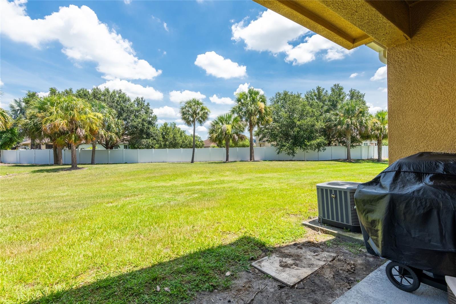8814 RED BEECHWOOD CT, RIVERVIEW, FL, 33578