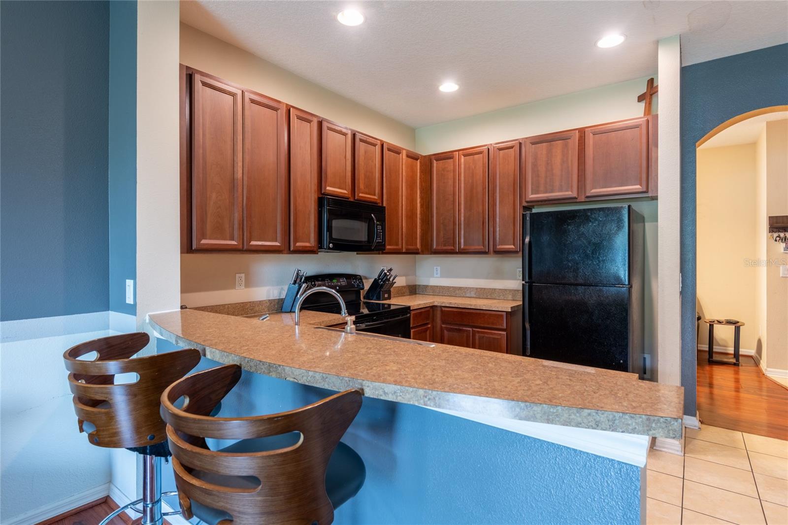 8814 RED BEECHWOOD CT, RIVERVIEW, FL, 33578