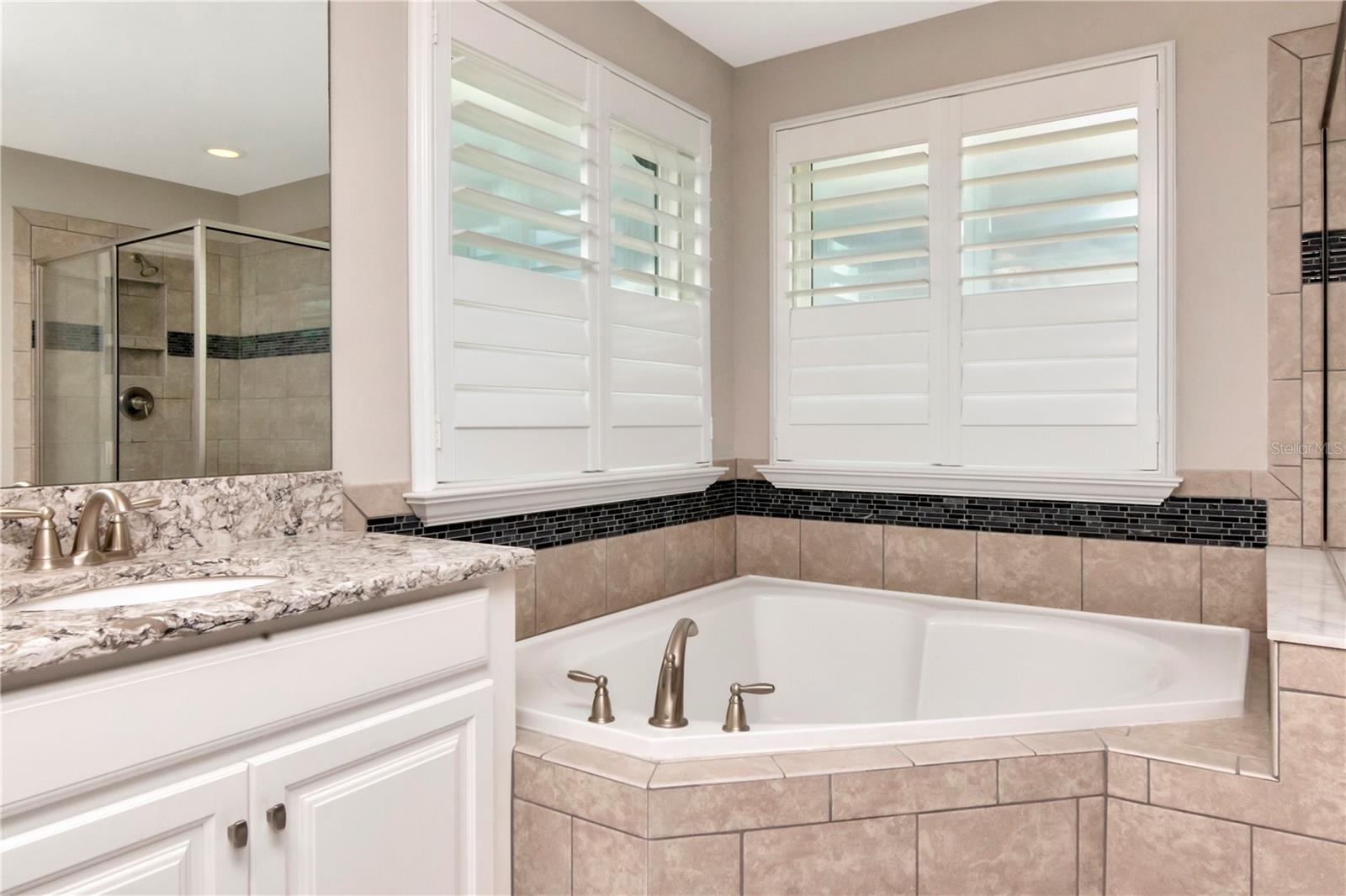 11425 LELAND GROVES DR, RIVERVIEW, FL, 33579