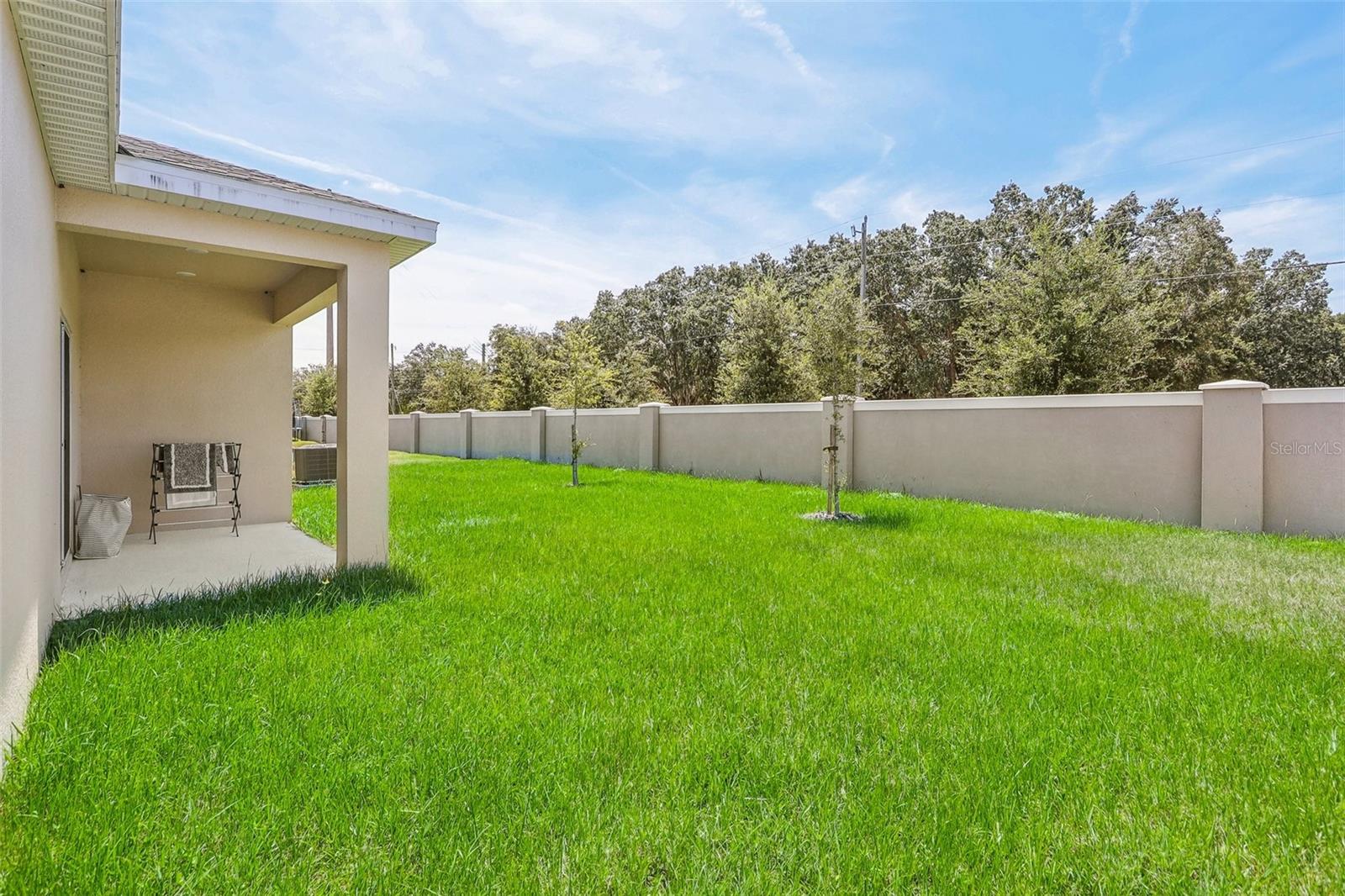 3912 MAYHILL LOOP, EUSTIS, FL, 32736