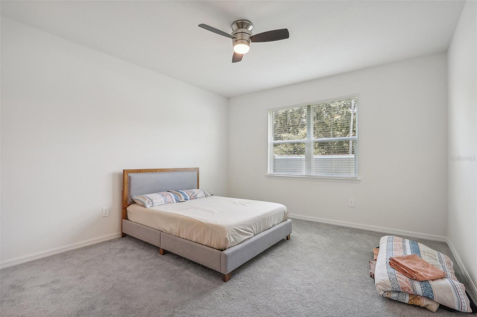 3912 MAYHILL LOOP, EUSTIS, FL, 32736