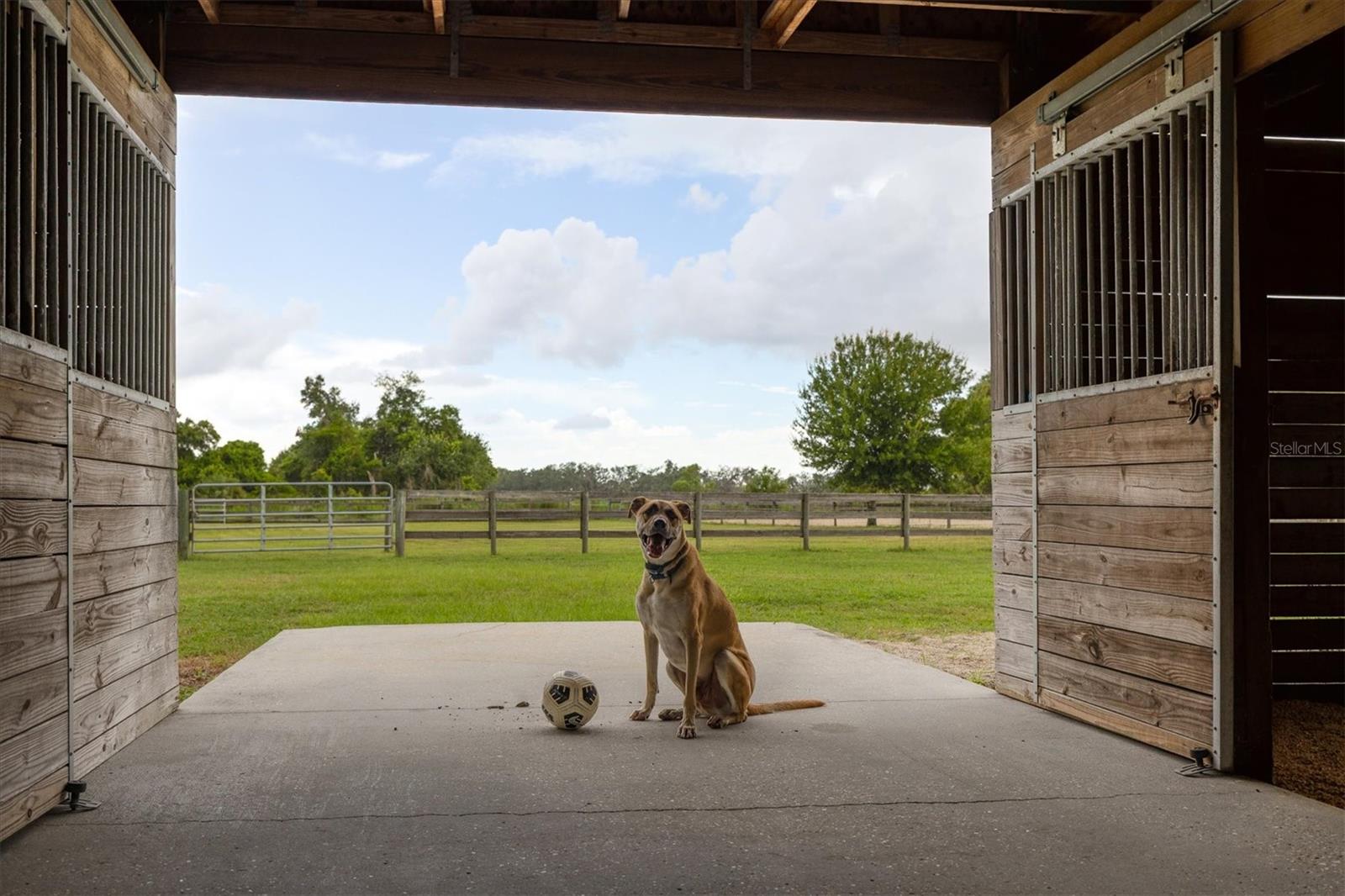 A4658570 Property Photo