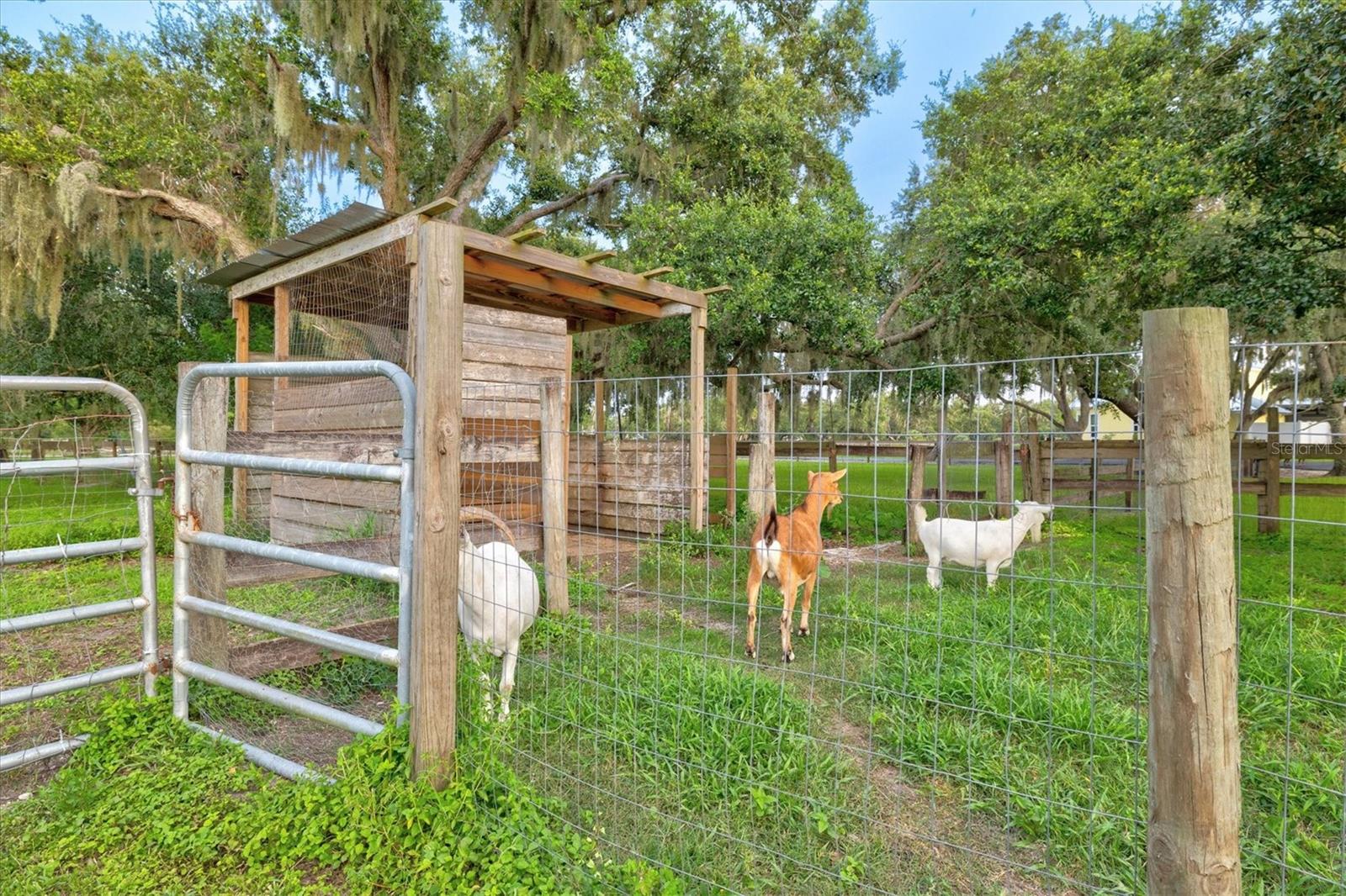 A4658570 Property Photo