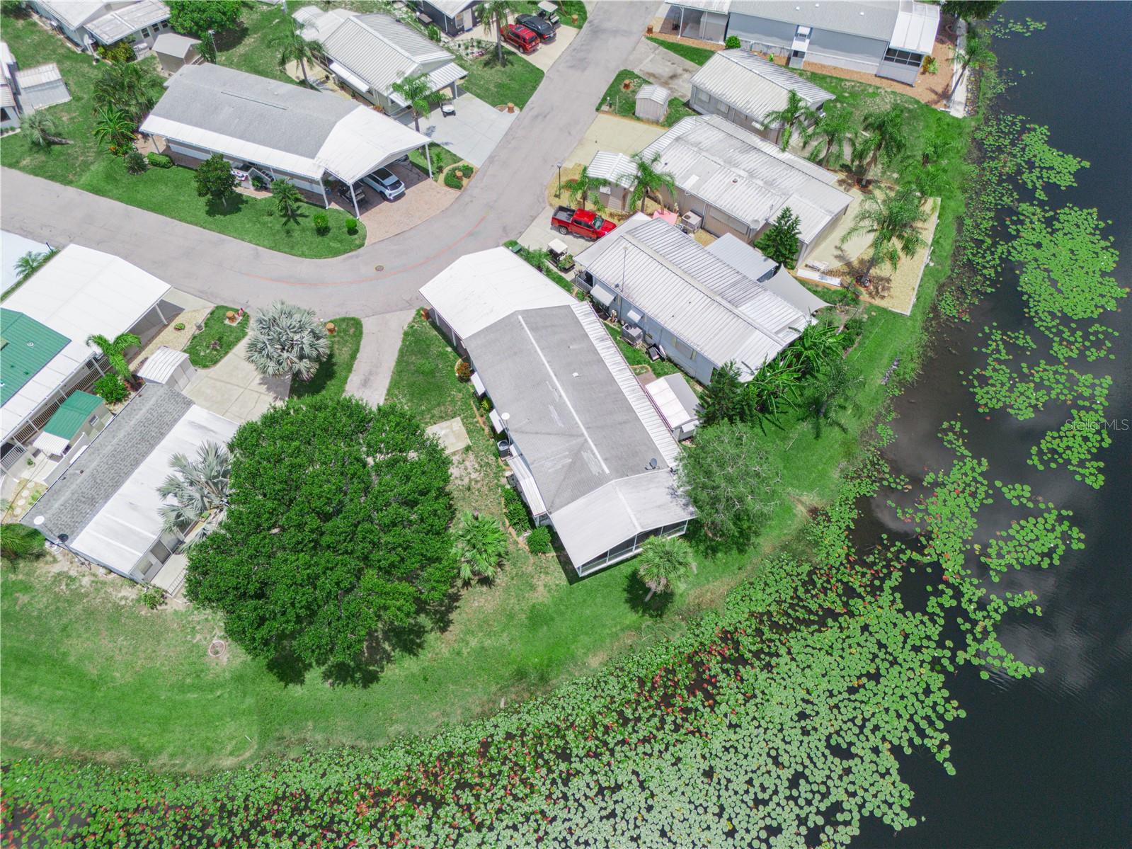 17 RED QUILL CIR, LAKE WALES, FL, 33898