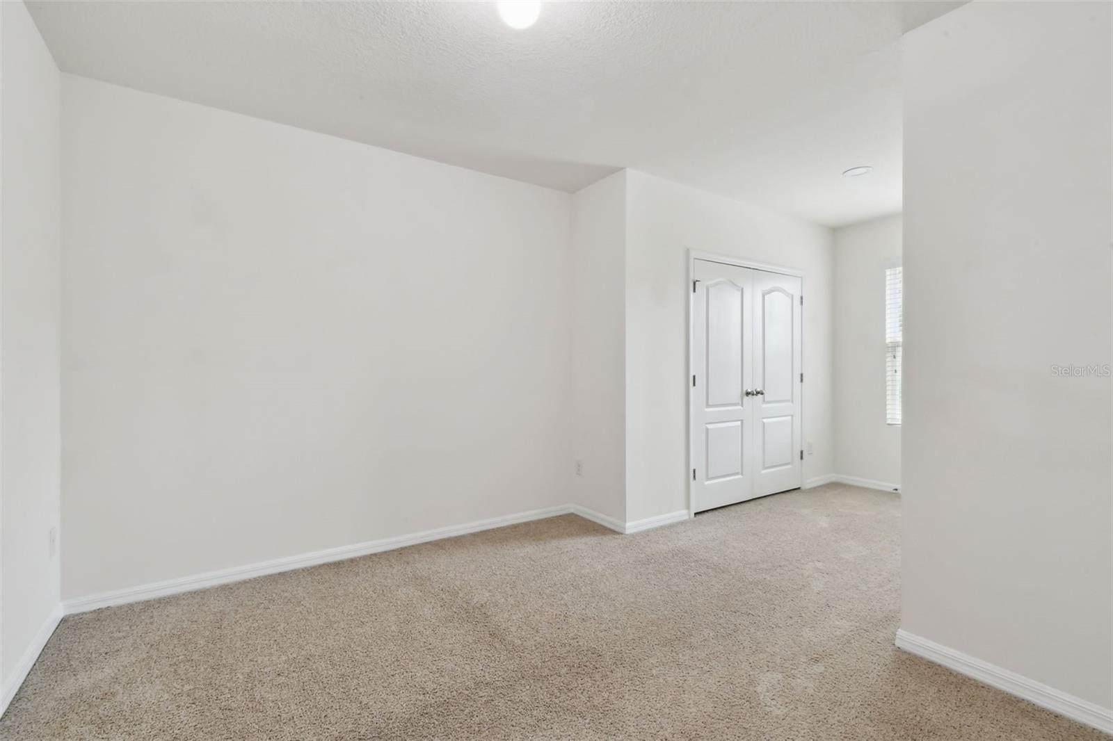 10409 ORCHID MIST CT, RIVERVIEW, FL, 33578