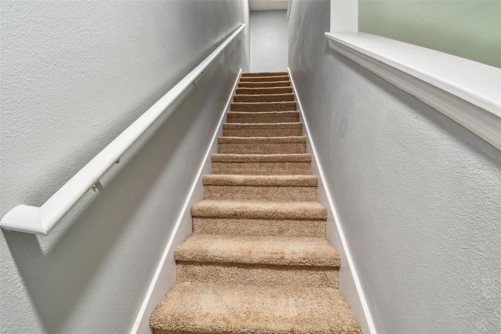 10409 ORCHID MIST CT, RIVERVIEW, FL, 33578