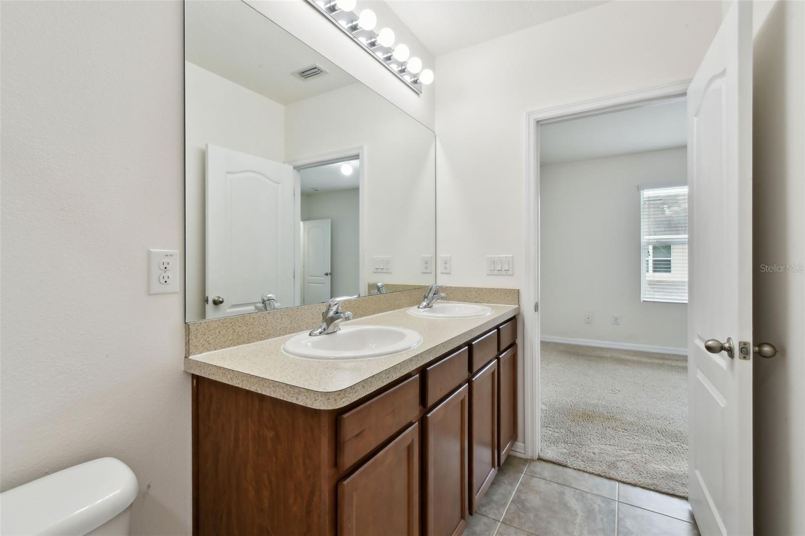 10409 ORCHID MIST CT, RIVERVIEW, FL, 33578