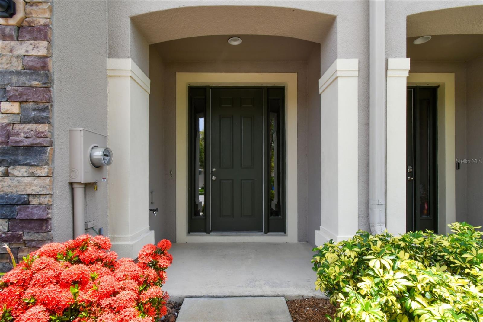 10409 ORCHID MIST CT, RIVERVIEW, FL, 33578