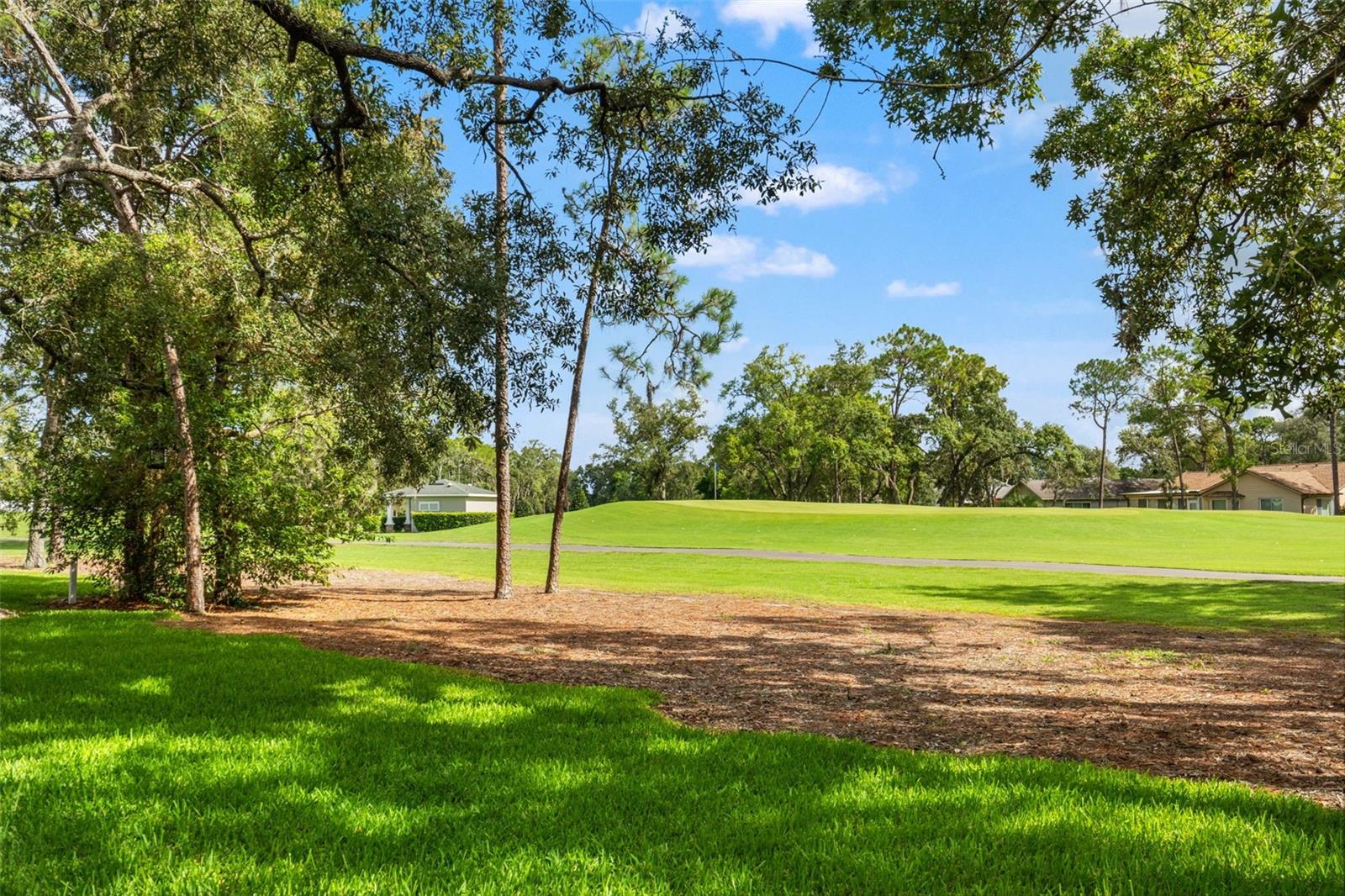 TIMBER PINES, SPRING HILL, FL, 34606