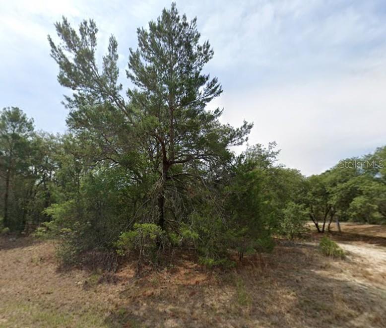 1426 W DELORES DR, CITRUS SPRINGS, FL, 34434