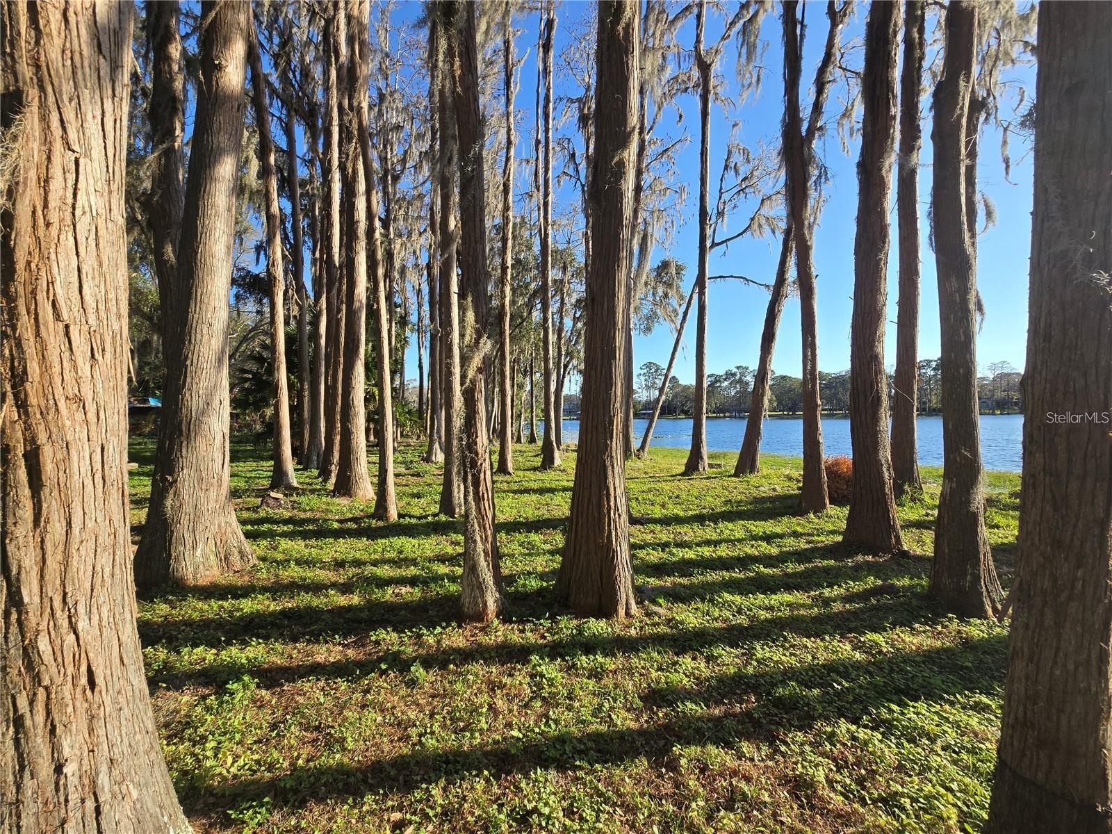 18856 CRESCENT ROAD, ODESSA, FL, 33556