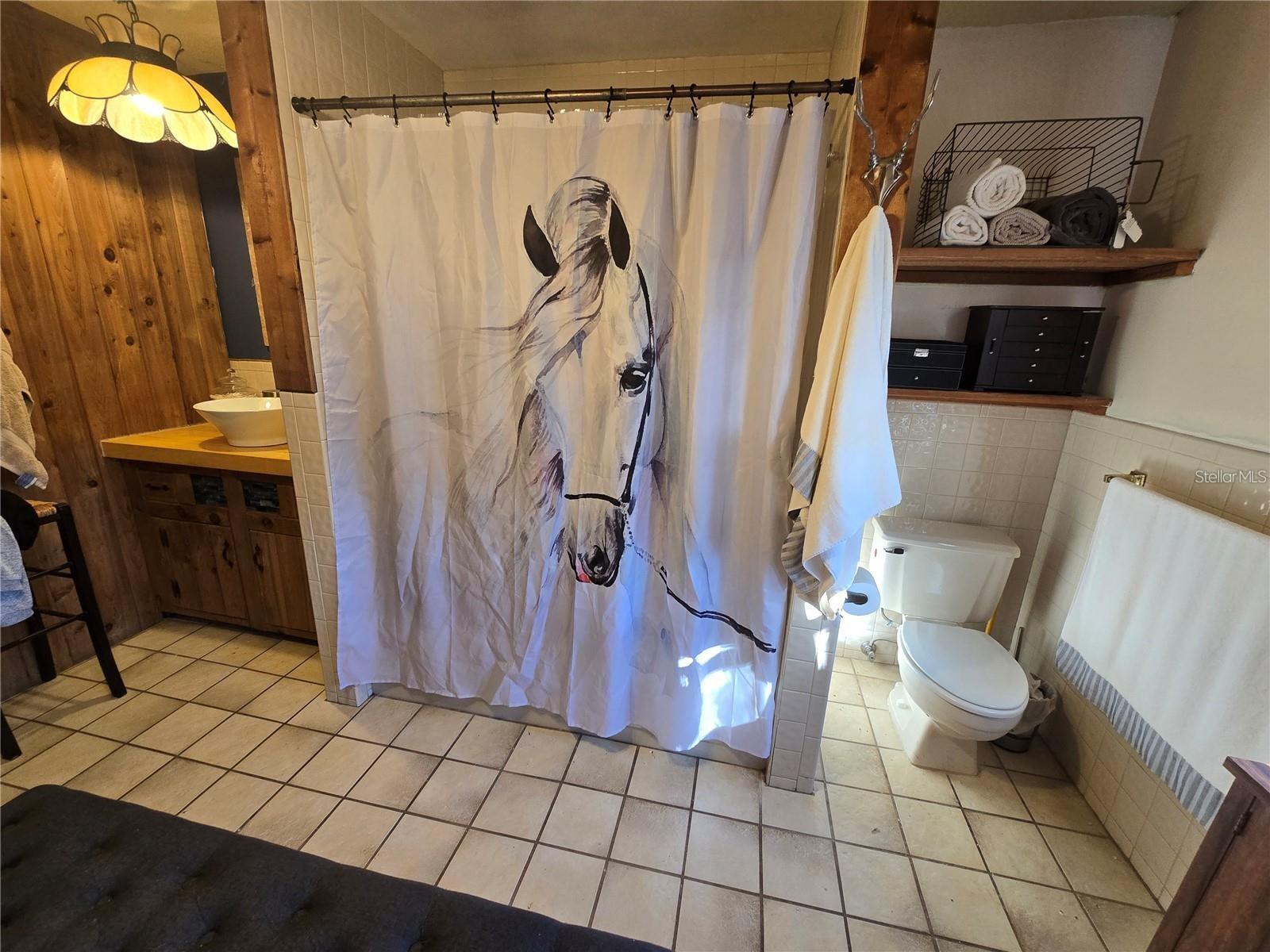 18856 CRESCENT ROAD, ODESSA, FL, 33556