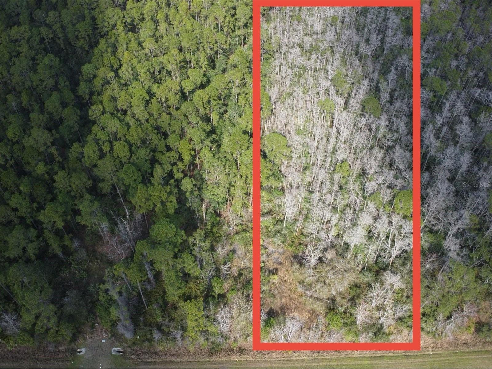 20523 E COLONIAL DR, CHRISTMAS, FL, 32709