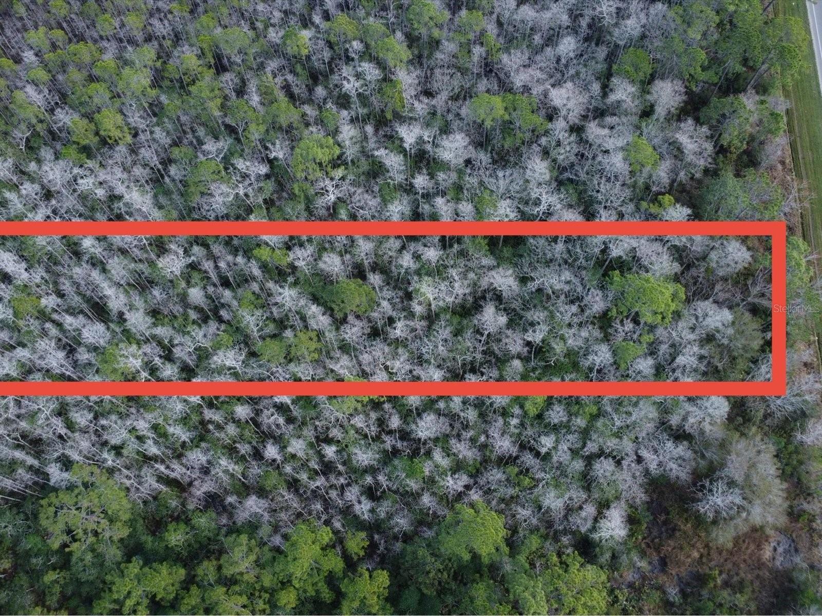 20523 E COLONIAL DR, CHRISTMAS, FL, 32709