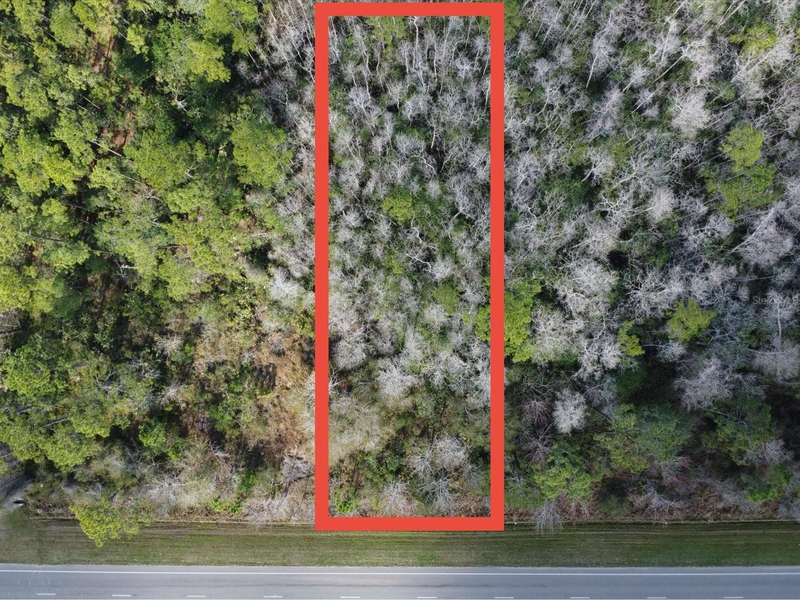 20523 E COLONIAL DR, CHRISTMAS, FL, 32709