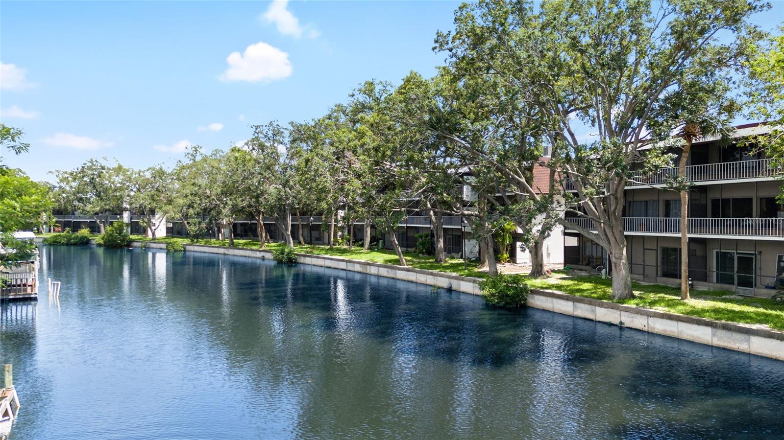 9213 TUDOR DR #B104, TAMPA, FL, 33615