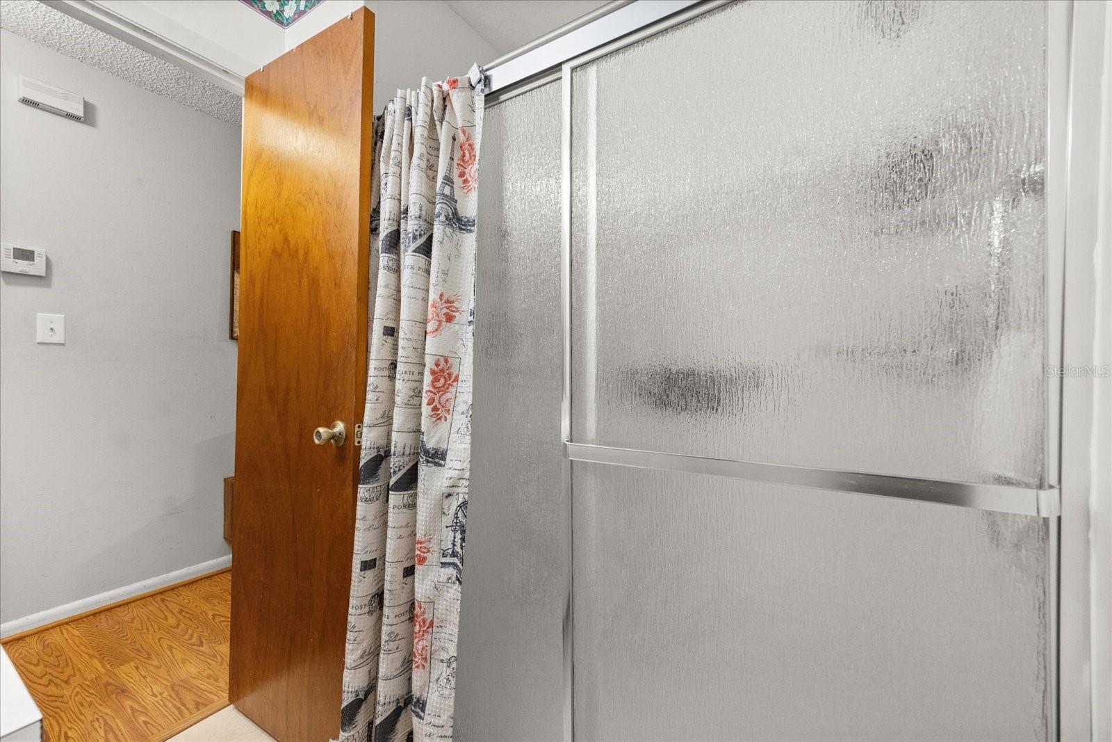 205 CRICKET HOLLOW LN, EUSTIS, FL, 32726