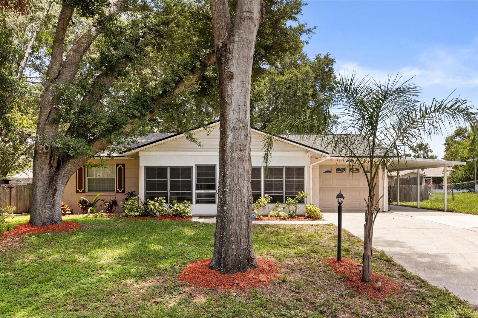 205 CRICKET HOLLOW LN, EUSTIS, FL, 32726