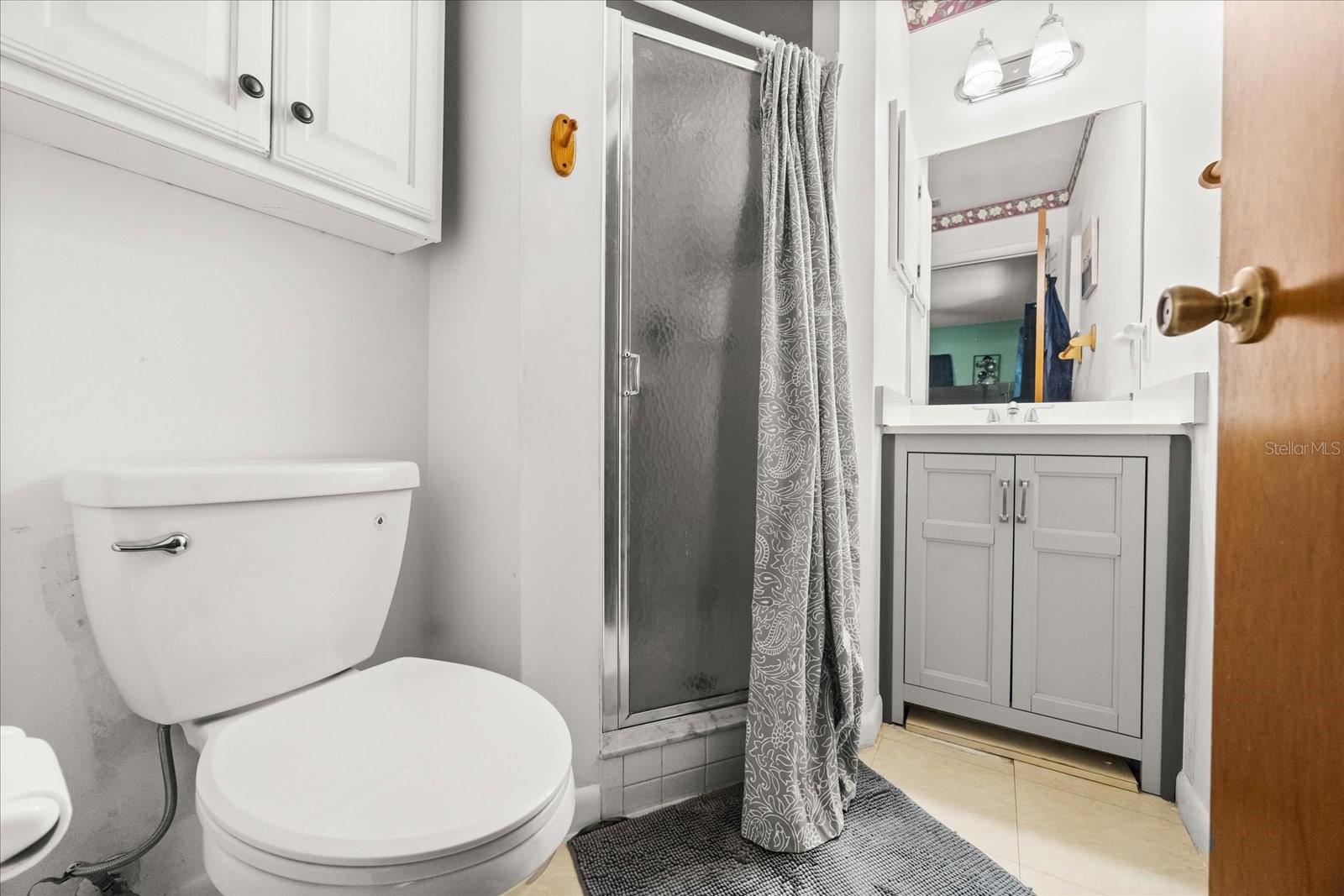 205 CRICKET HOLLOW LN, EUSTIS, FL, 32726