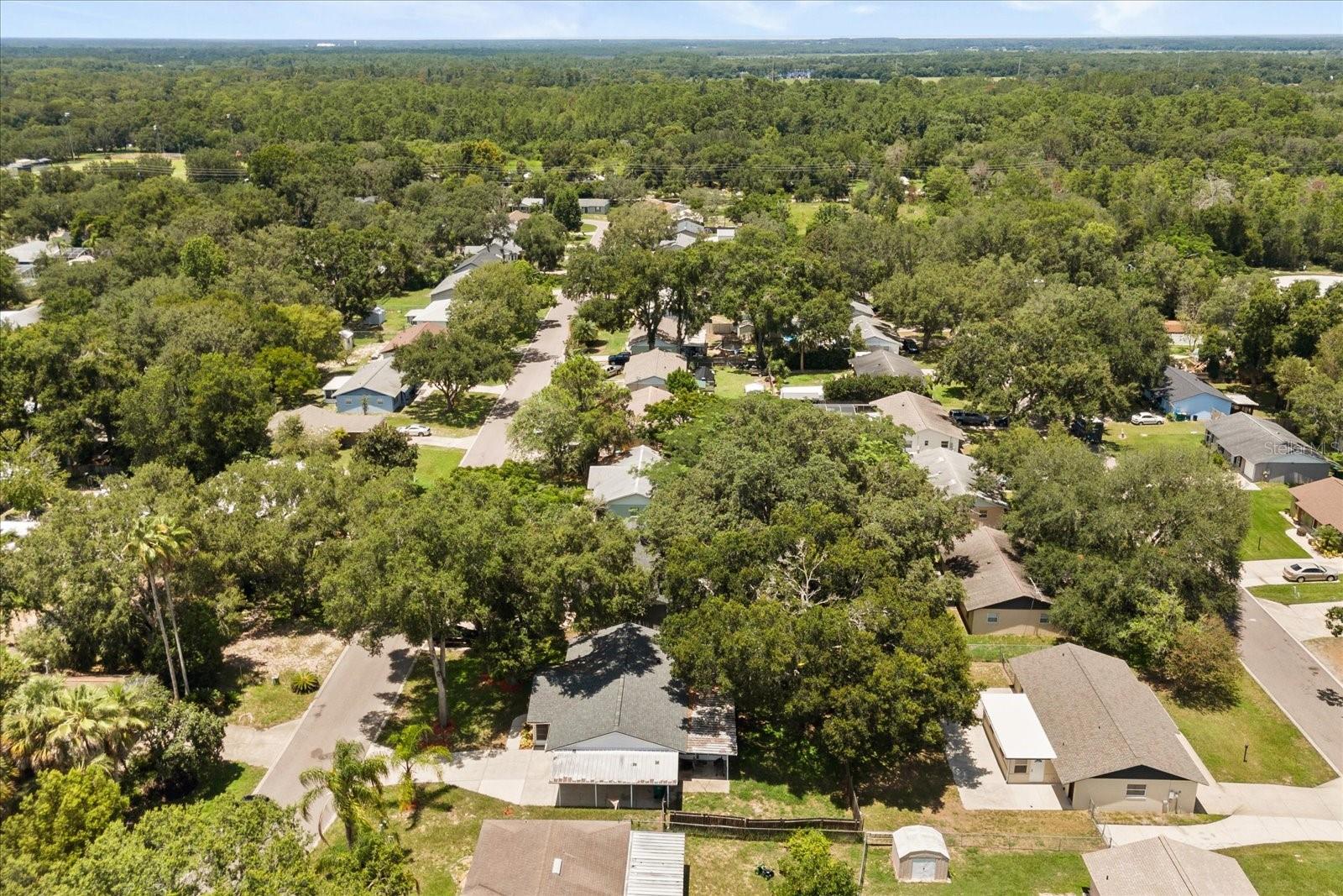 205 CRICKET HOLLOW LN, EUSTIS, FL, 32726