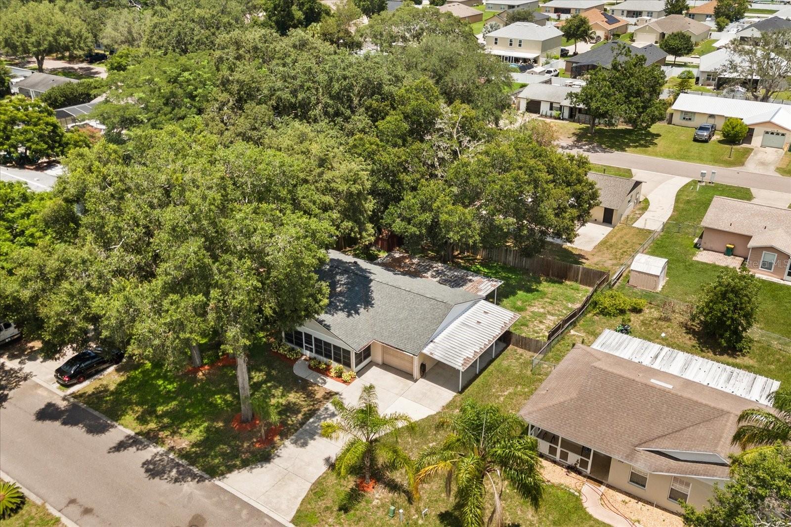 205 CRICKET HOLLOW LN, EUSTIS, FL, 32726