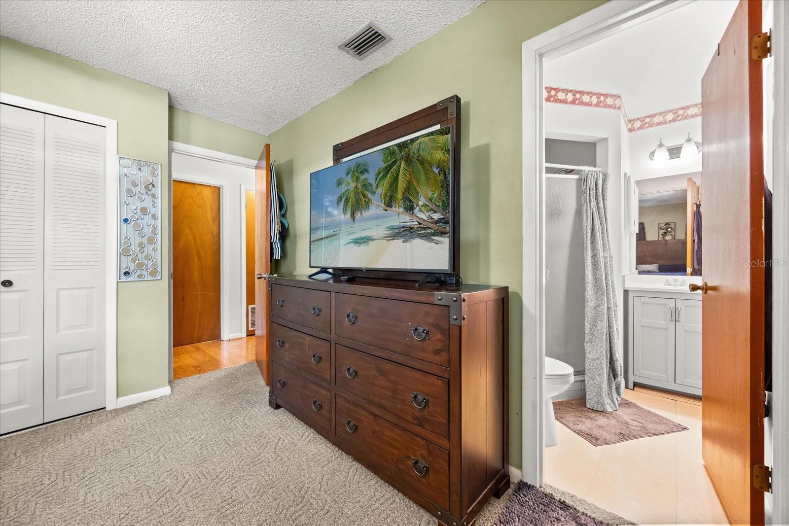 205 CRICKET HOLLOW LN, EUSTIS, FL, 32726