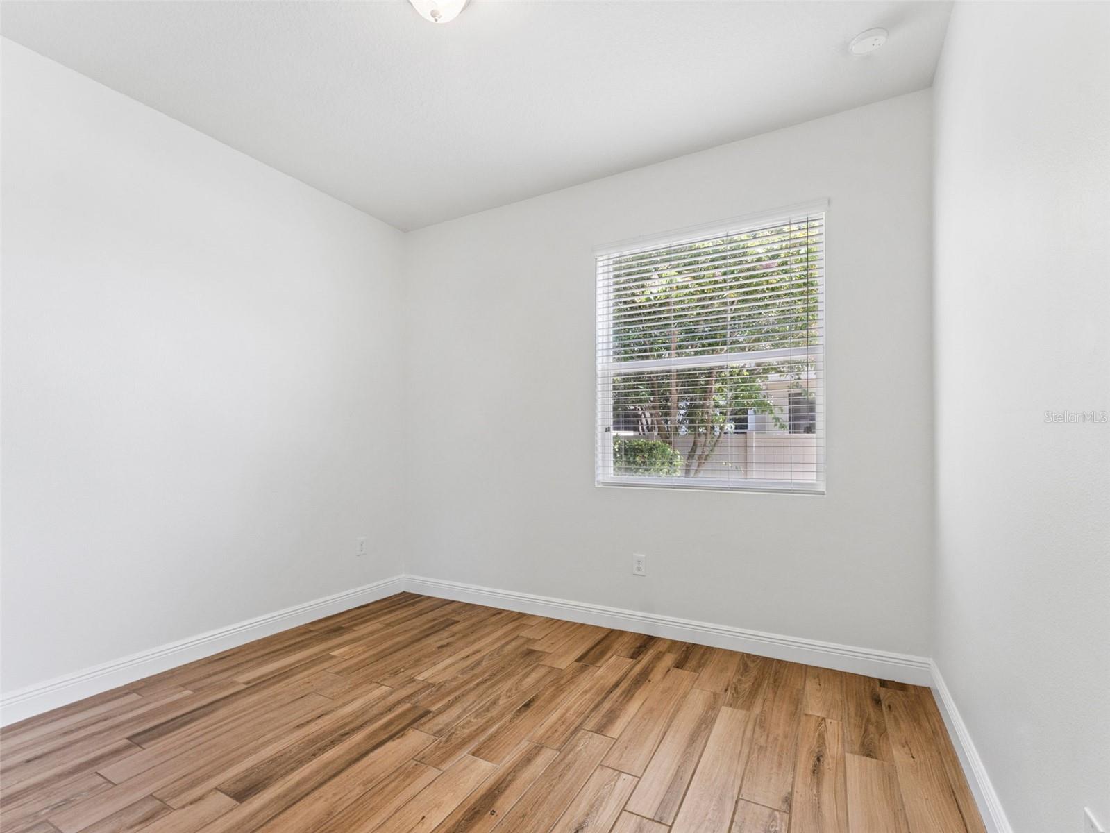 18844 ULMUS ST, LUTZ, FL, 33558