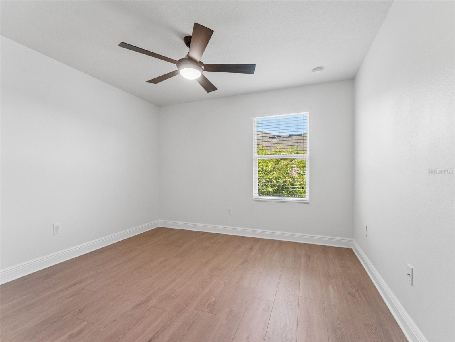 18844 ULMUS ST, LUTZ, FL, 33558