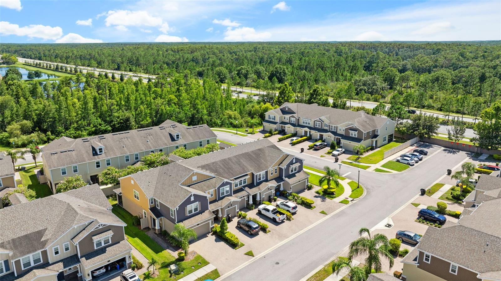 18844 ULMUS ST, LUTZ, FL, 33558