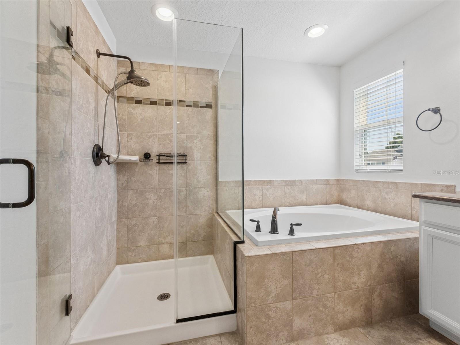 18844 ULMUS ST, LUTZ, FL, 33558