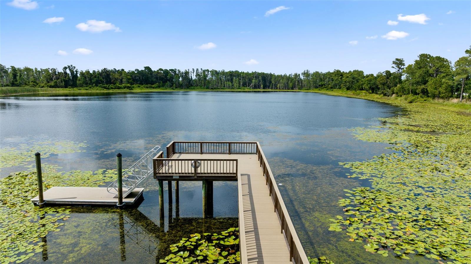 18844 ULMUS ST, LUTZ, FL, 33558