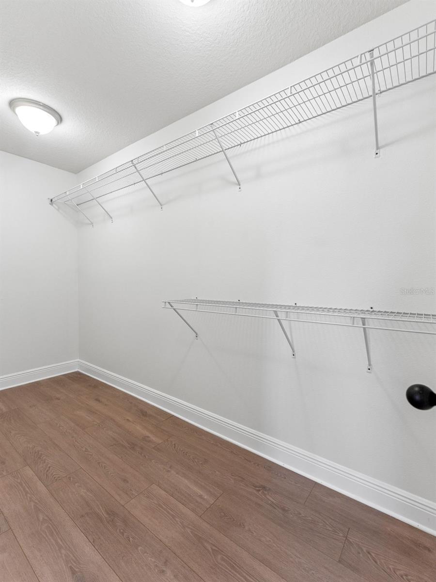 18844 ULMUS ST, LUTZ, FL, 33558