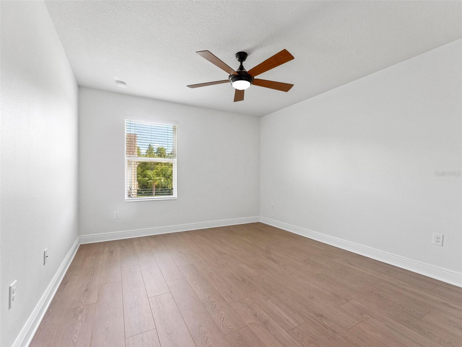 18844 ULMUS ST, LUTZ, FL, 33558