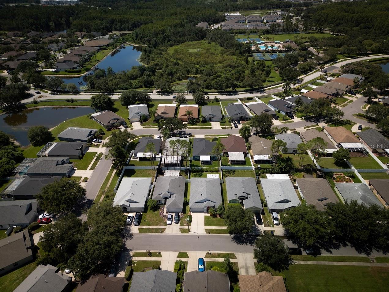 19743 BELLEHURST LOOP, LAND O LAKES, FL, 34638