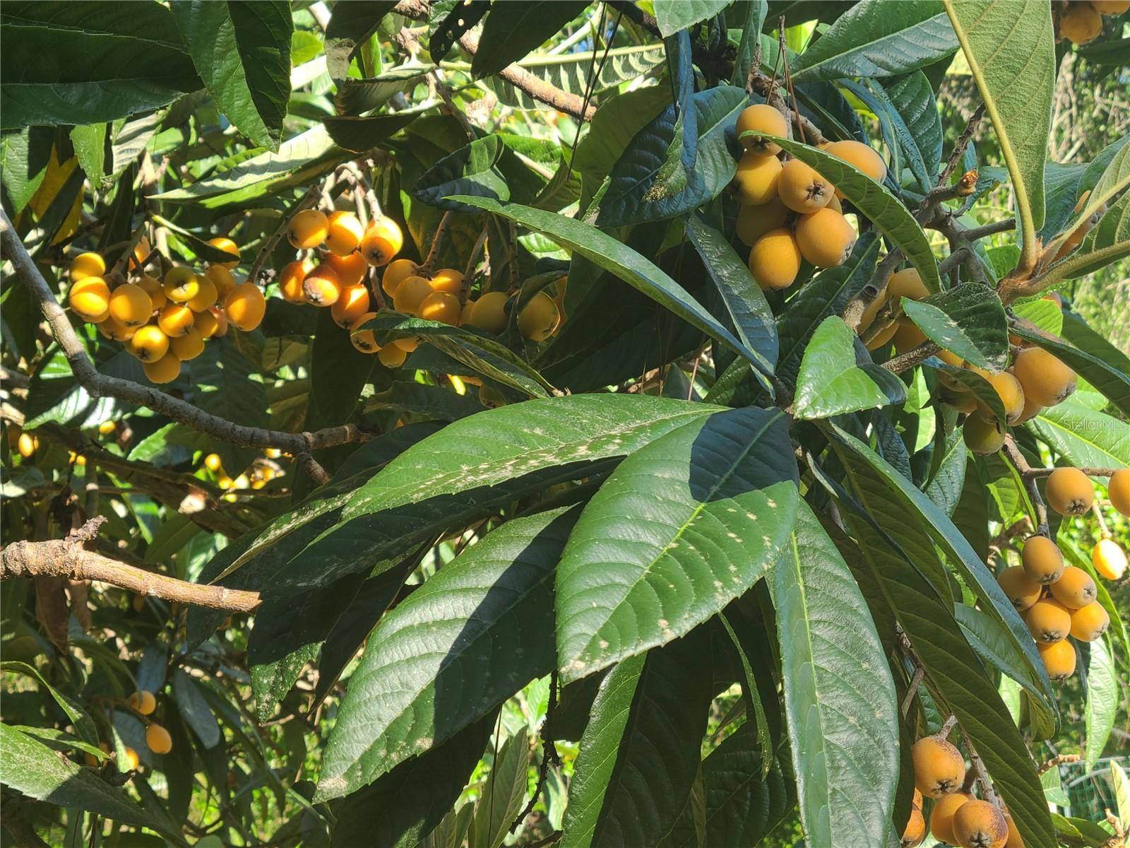 10127 SW 73RD AVE, GAINESVILLE, FL, 32608