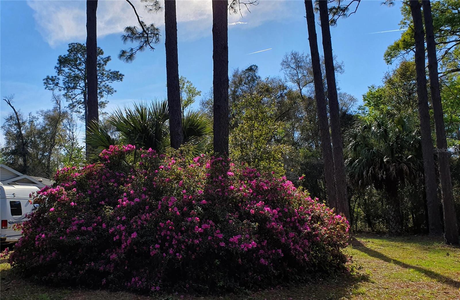 10127 SW 73RD AVE, GAINESVILLE, FL, 32608